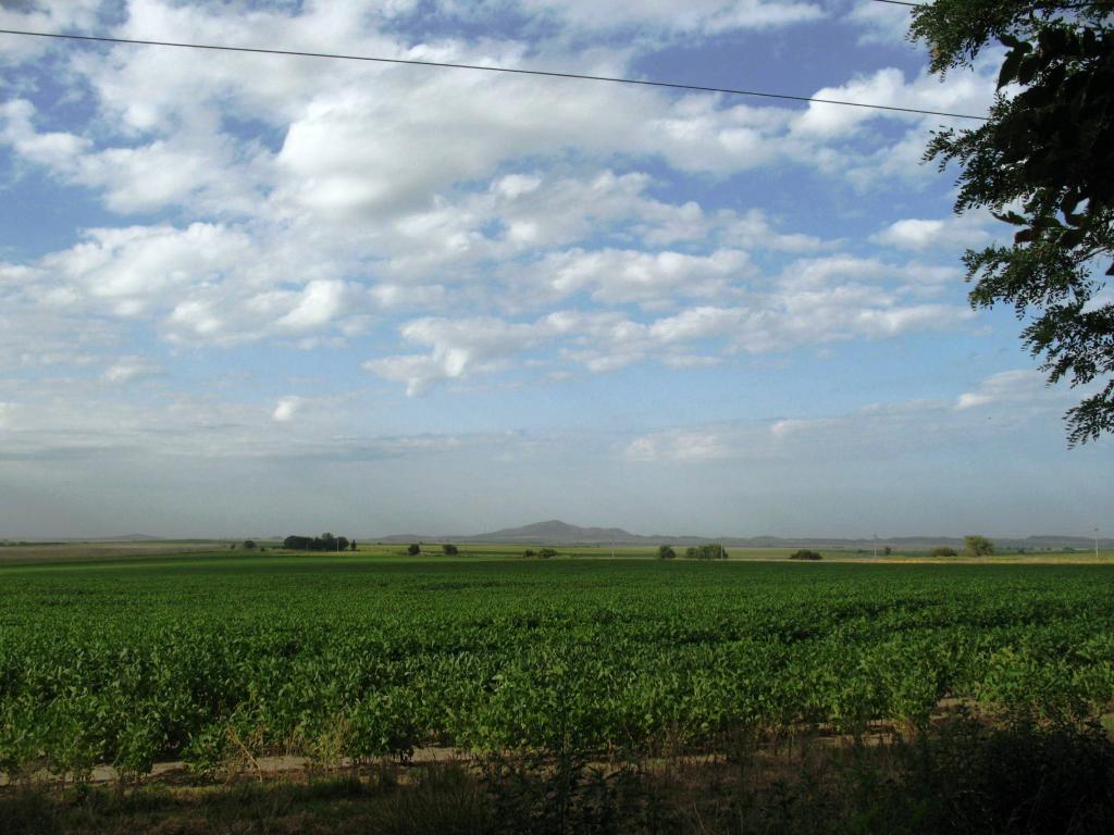 Foto de Paraná, Argentina