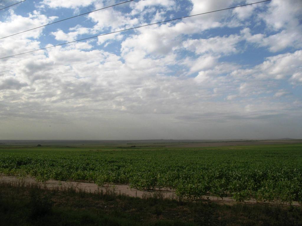 Foto de Paraná, Argentina