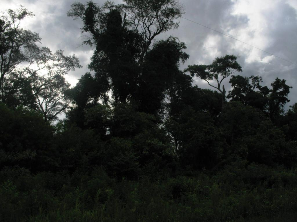 Foto de Misiones, Argentina