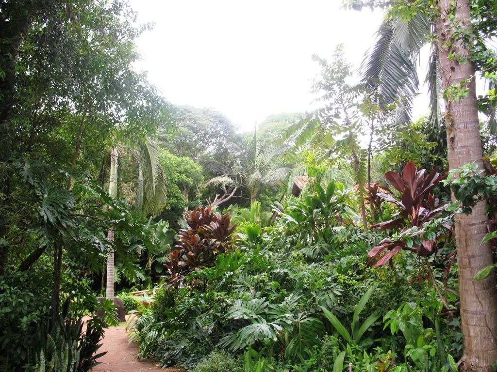 Foto de Foz do Iguacu, Brasil