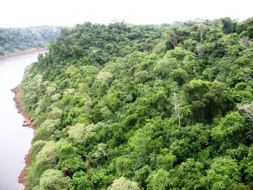 Foto de Iguazu, Argentina