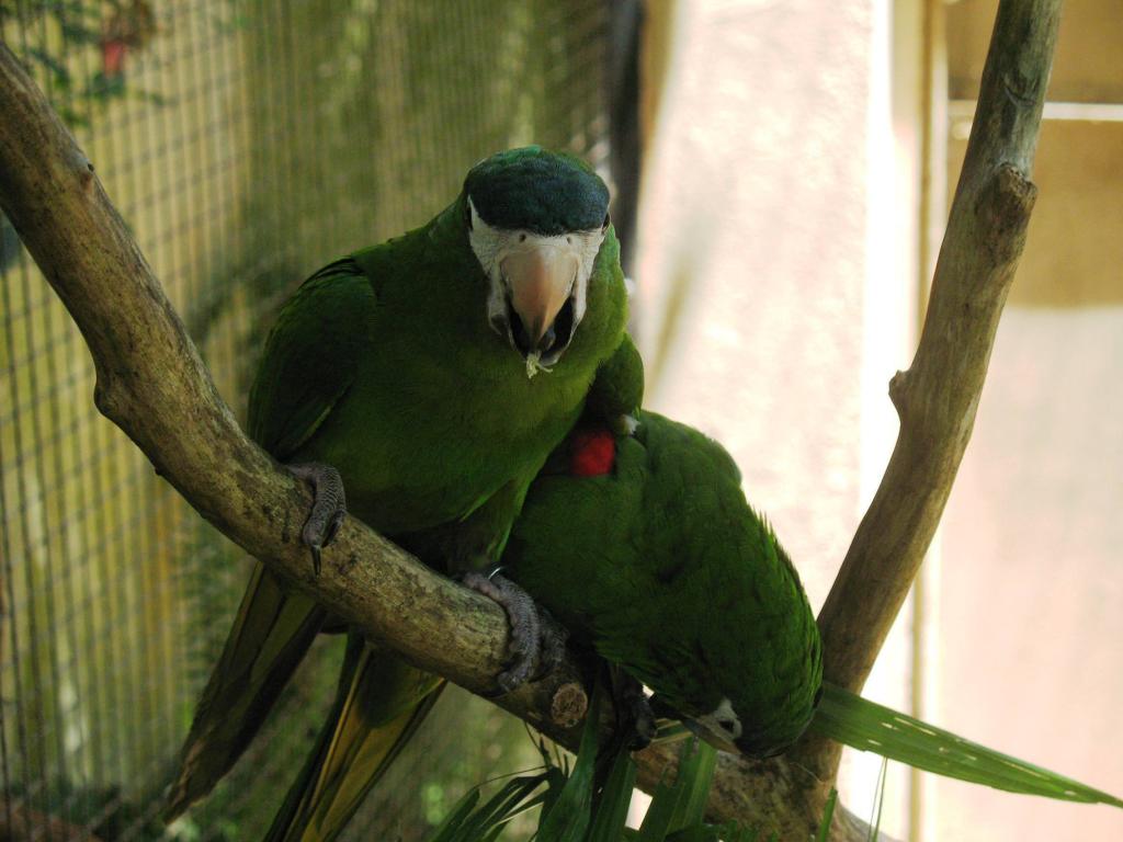 Foto de Foz do Iguacu, Brasil