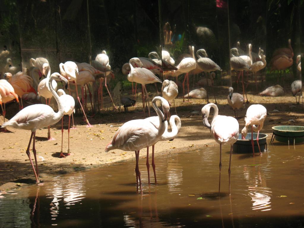 Foto de Foz do Iguacu, Brasil