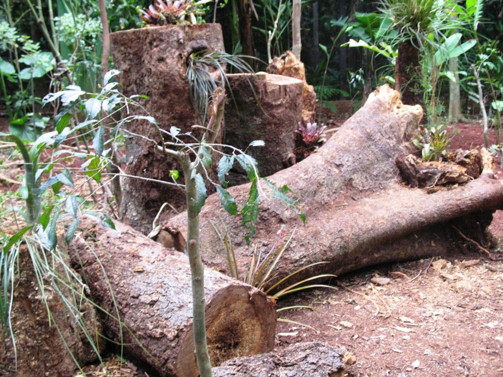 Foto de Foz do Iguacu, Brasil