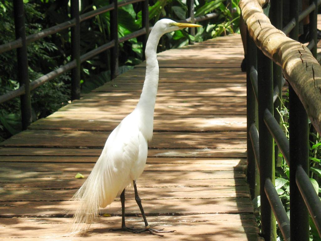 Foto de Foz do Iguacu, Brasil