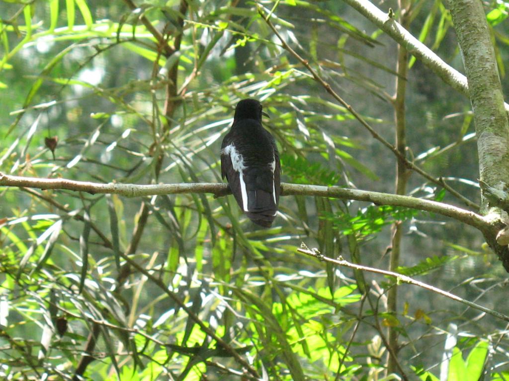 Foto de Foz do Iguacu, Brasil