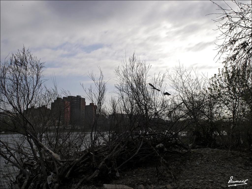 Foto de Zaragoza (Aragón), España