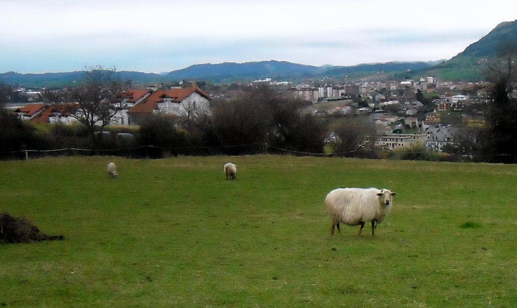 Foto de Guarnizo (Cantabria), España