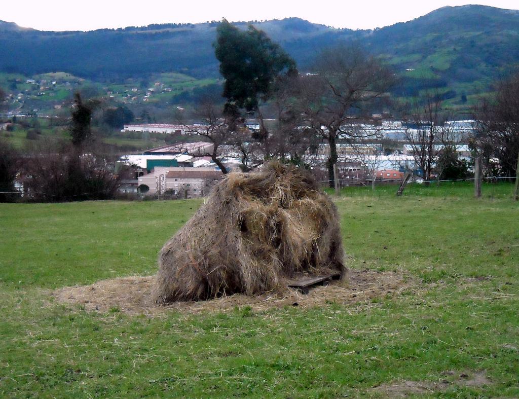 Foto de Guarnizo (Cantabria), España