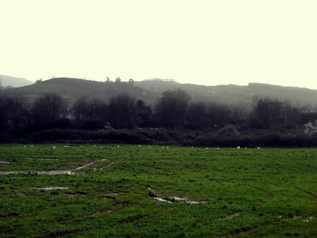 Foto de Guarnizo (Cantabria), España