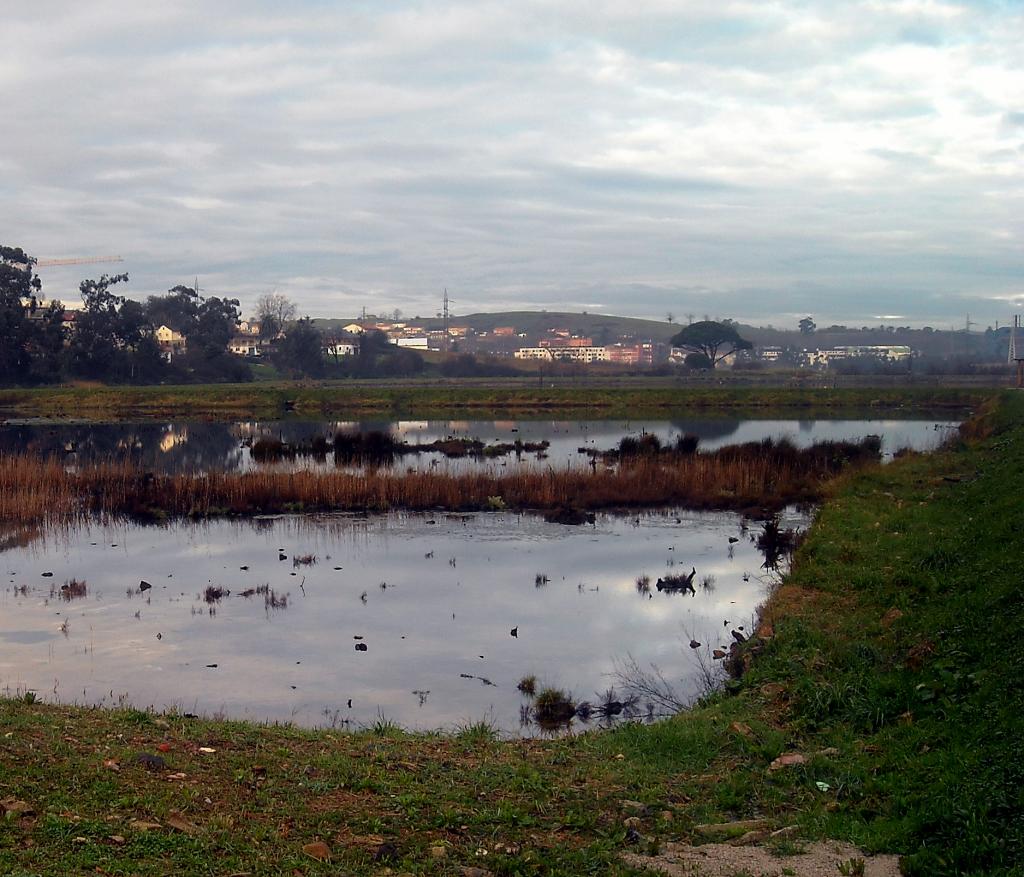 Foto de Guarnizo (Cantabria), España