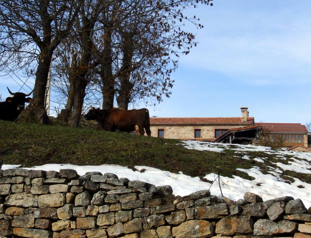 Foto de Hoz de Abiada (Cantabria), España