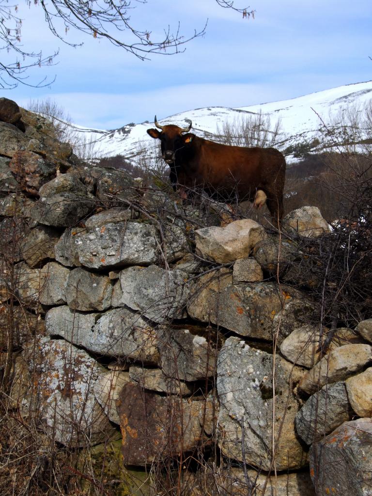 Foto de Hoz de Abiada (Cantabria), España