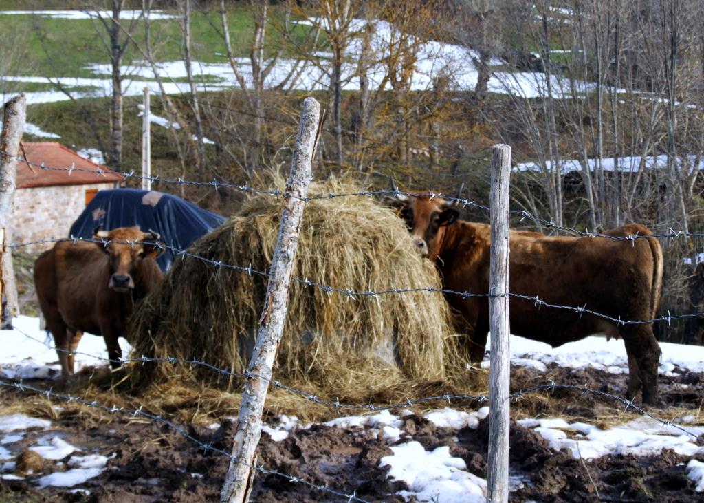 Foto de Hoz de Abiada (Cantabria), España