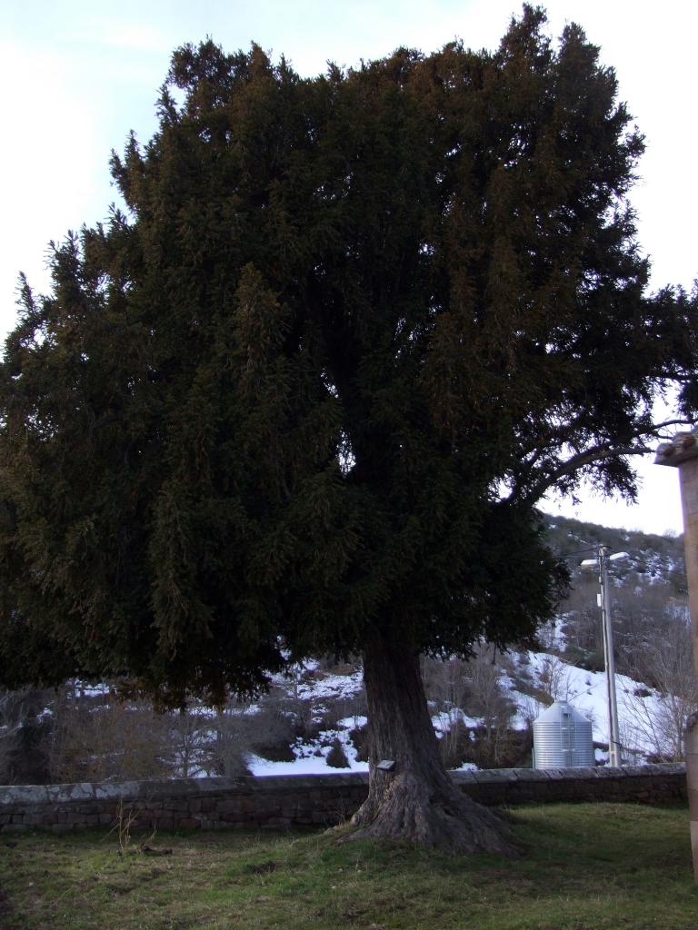 Foto de La Lomba (Cantabria), España