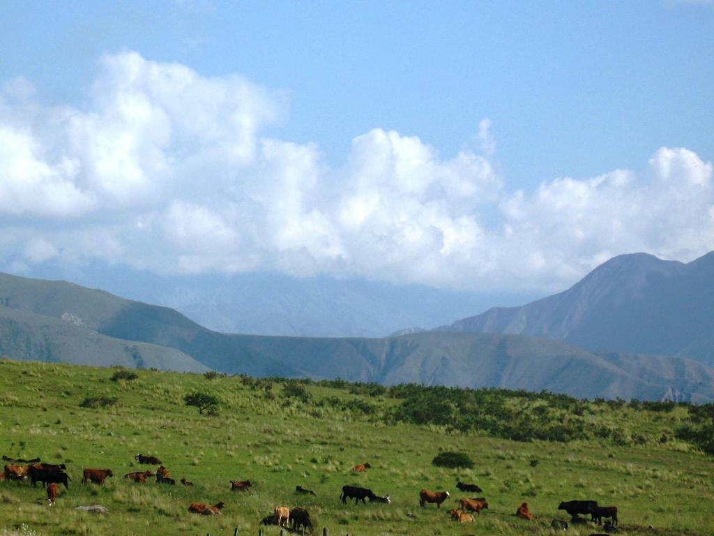 Foto de Jujuy, Argentina