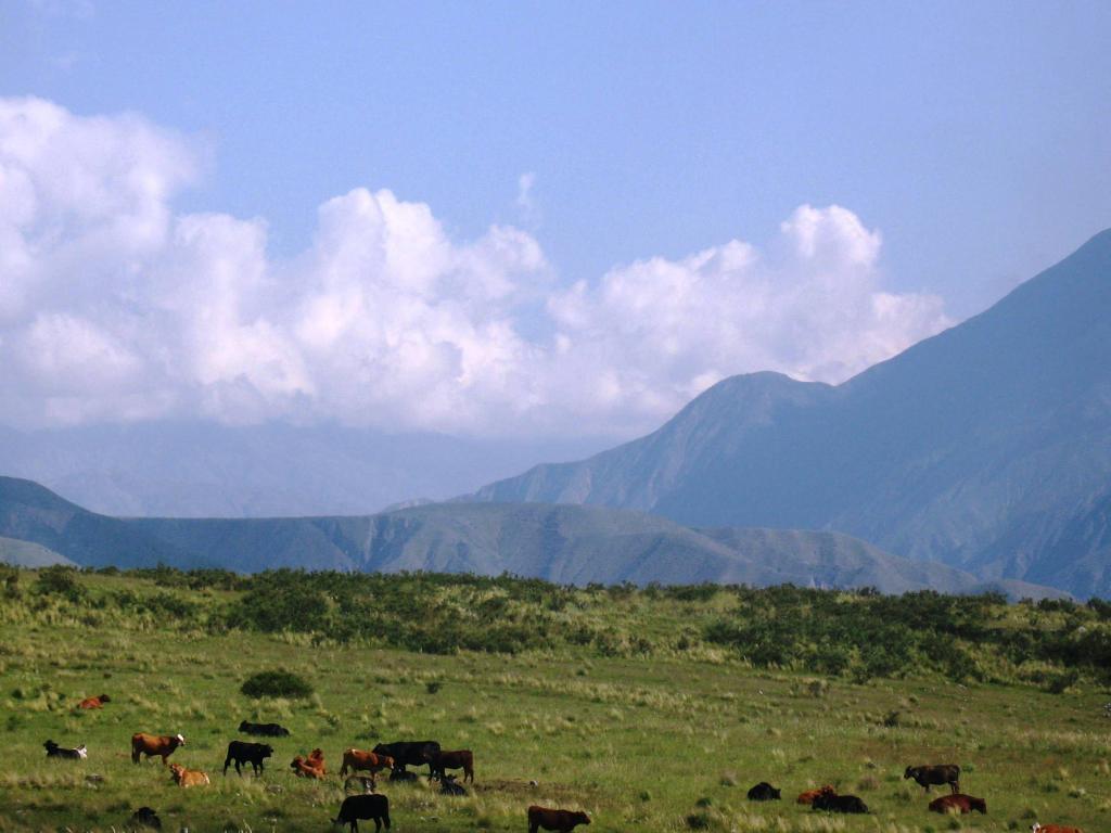 Foto de Jujuy, Argentina