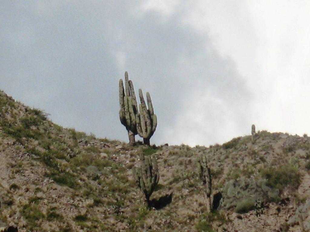 Foto de Jujuy, Argentina