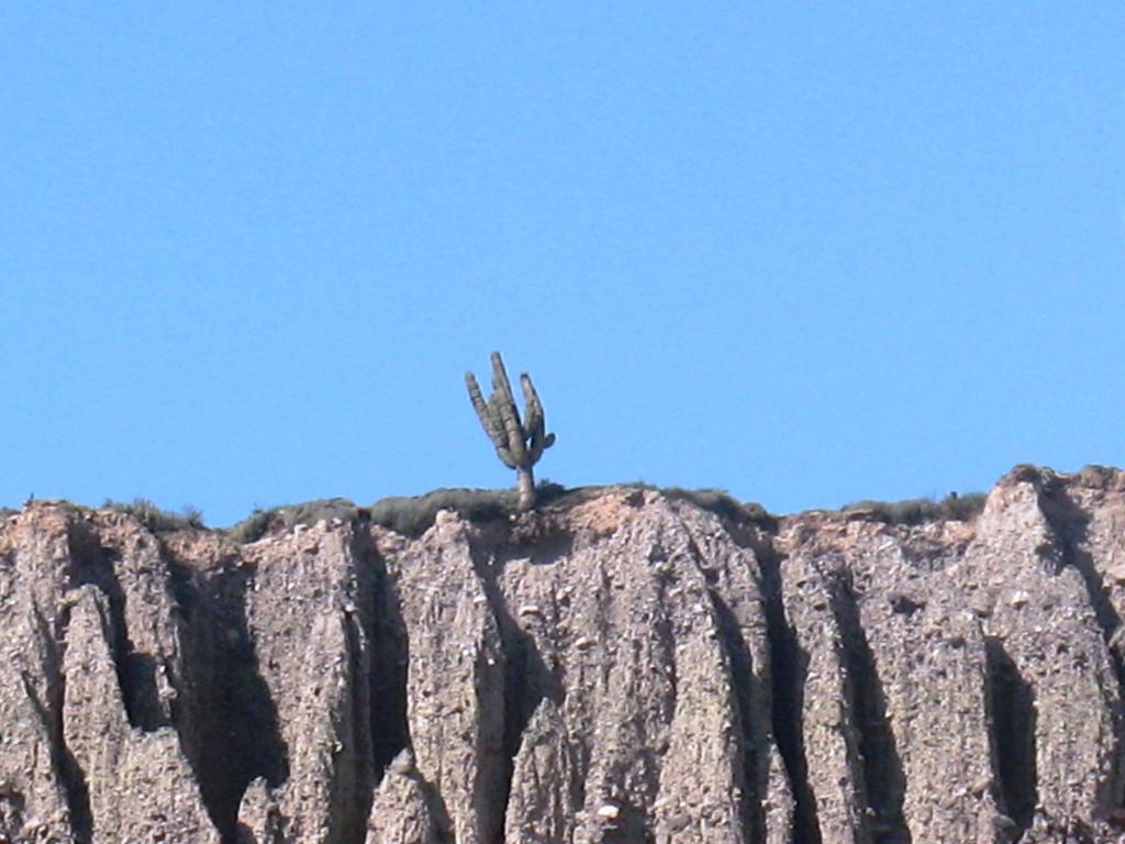 Foto de Jujuy, Argentina