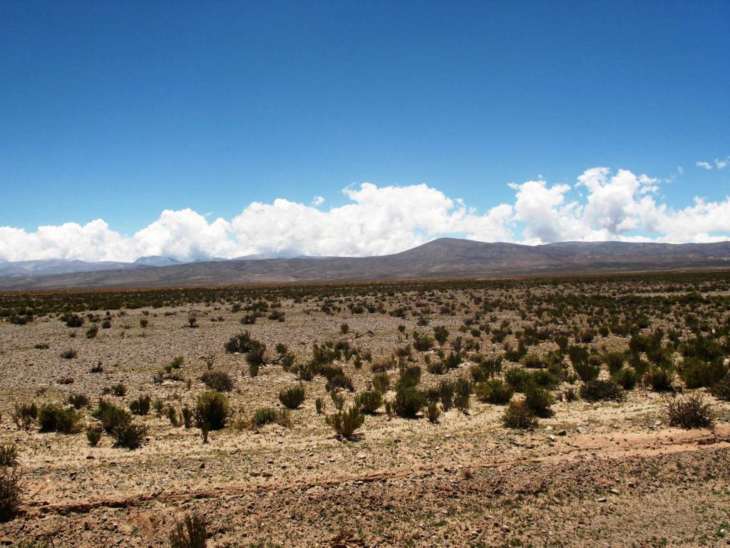 Foto de Salinas Grandes, Argentina