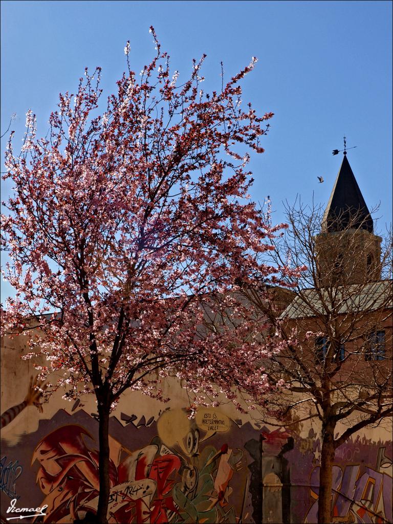 Foto de Zaragoza (Aragón), España