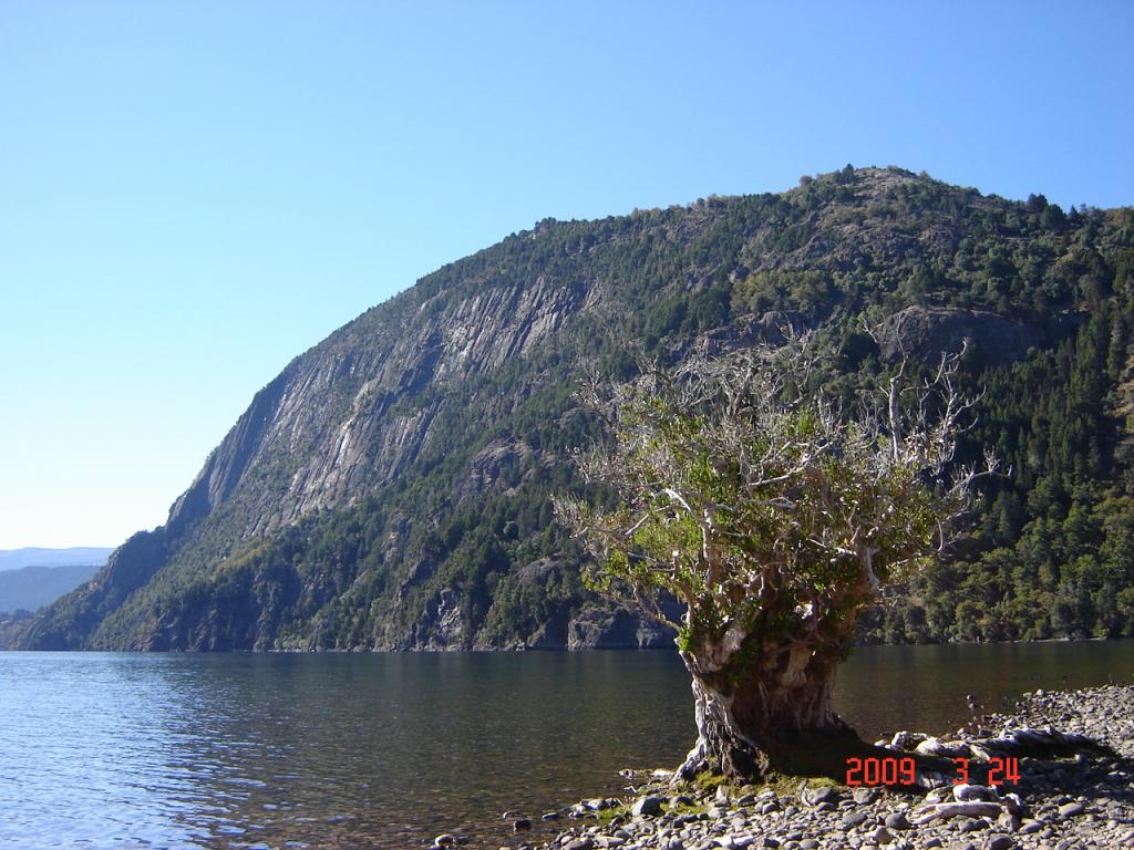 Foto de San Martín de los Andes (Neuquén), Argentina