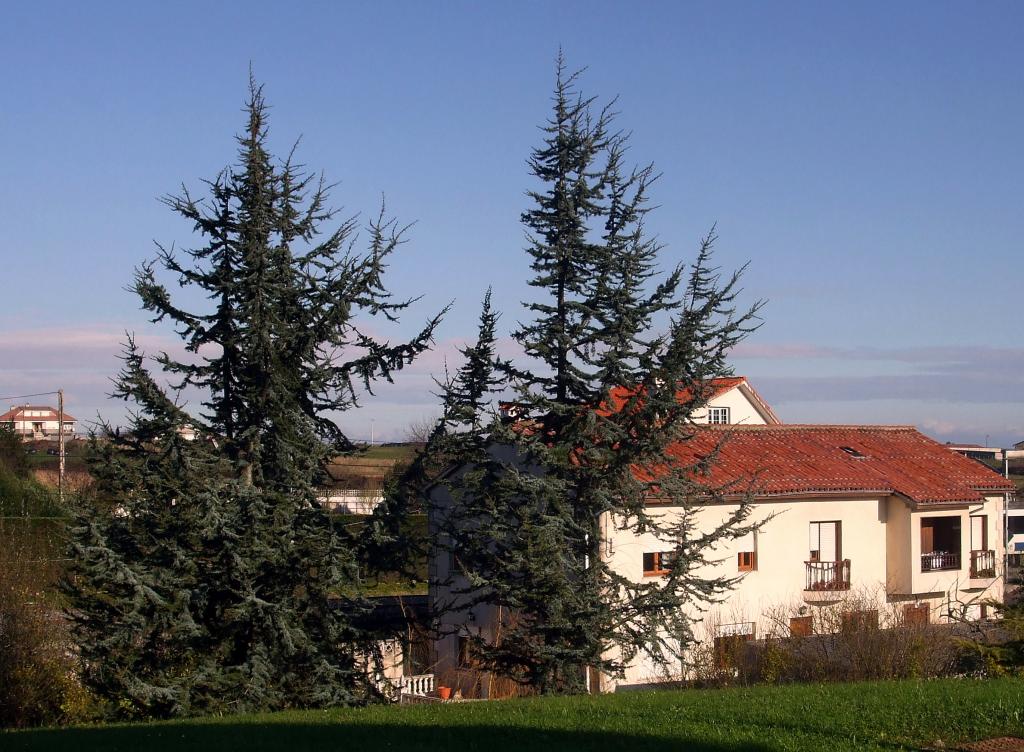 Foto de Mompia (Cantabria), España