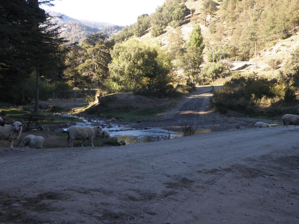 Foto de San Martín de los Andes (Neuquén), Argentina