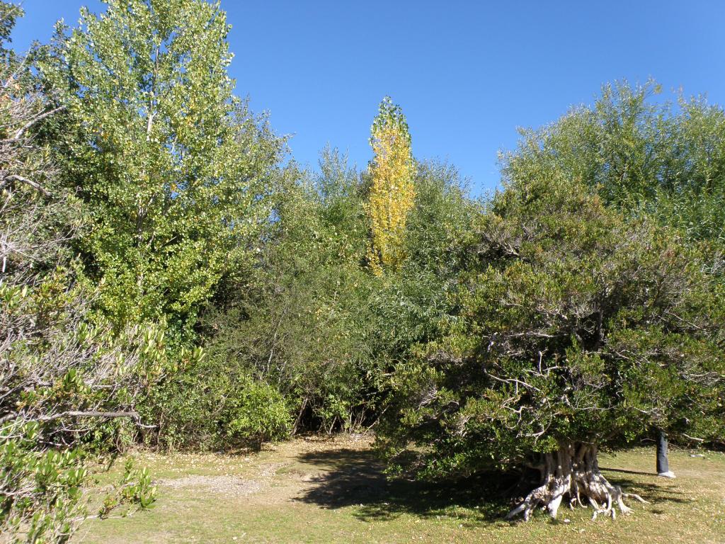 Foto de San Martín de los Andes (Neuquén), Argentina