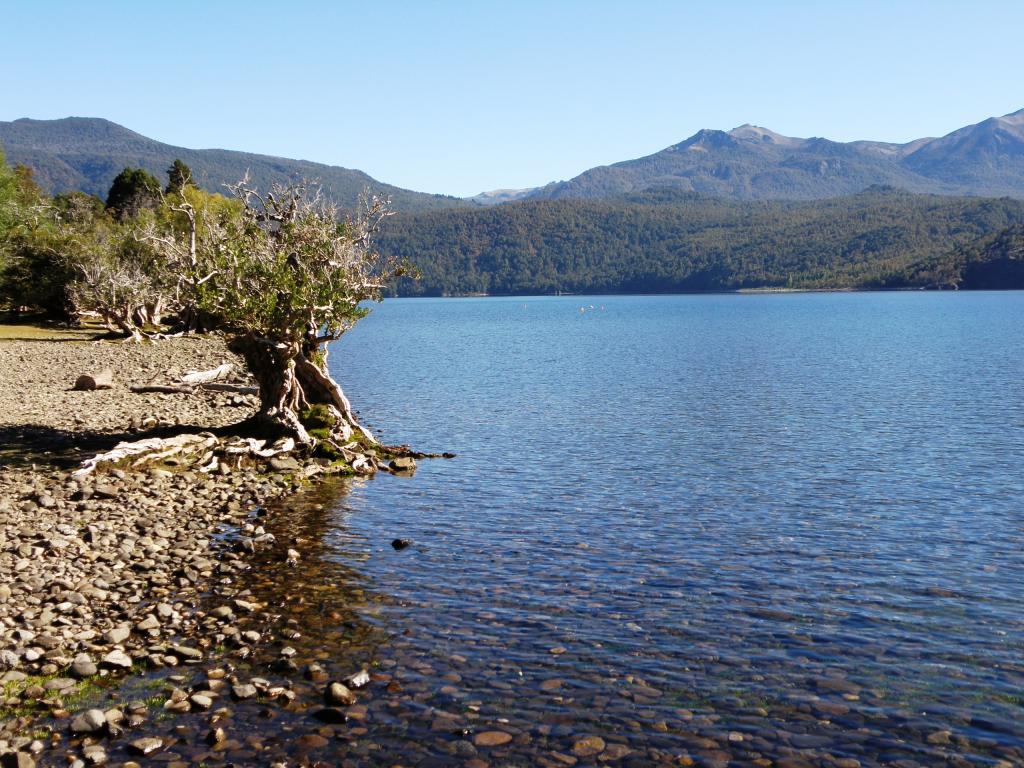 Foto de San Martín de los Andes (Neuquén), Argentina