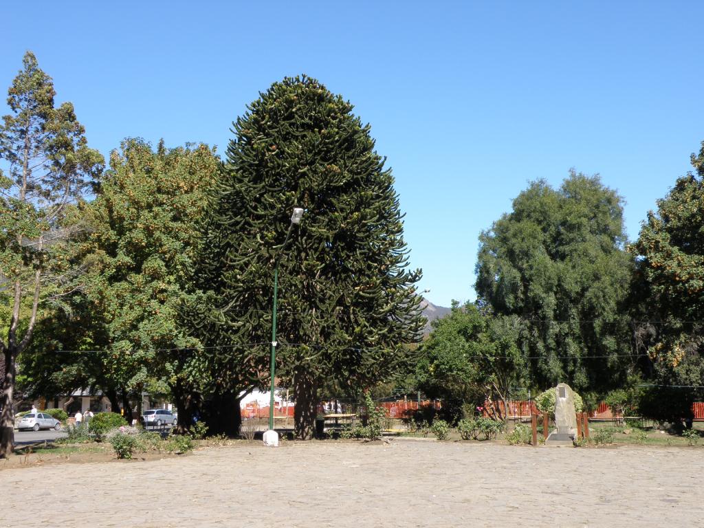 Foto de San Martín de los Andes (Neuquén), Argentina