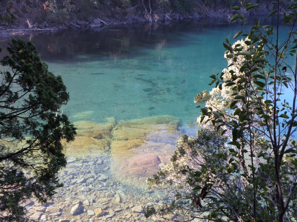 Foto de San Martín de los Andes (Neuquén), Argentina