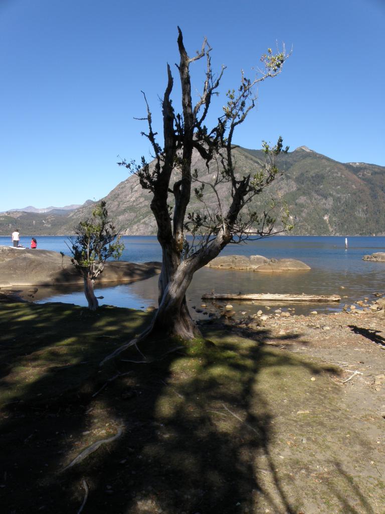 Foto de San Martín de los Andes (Neuquén), Argentina