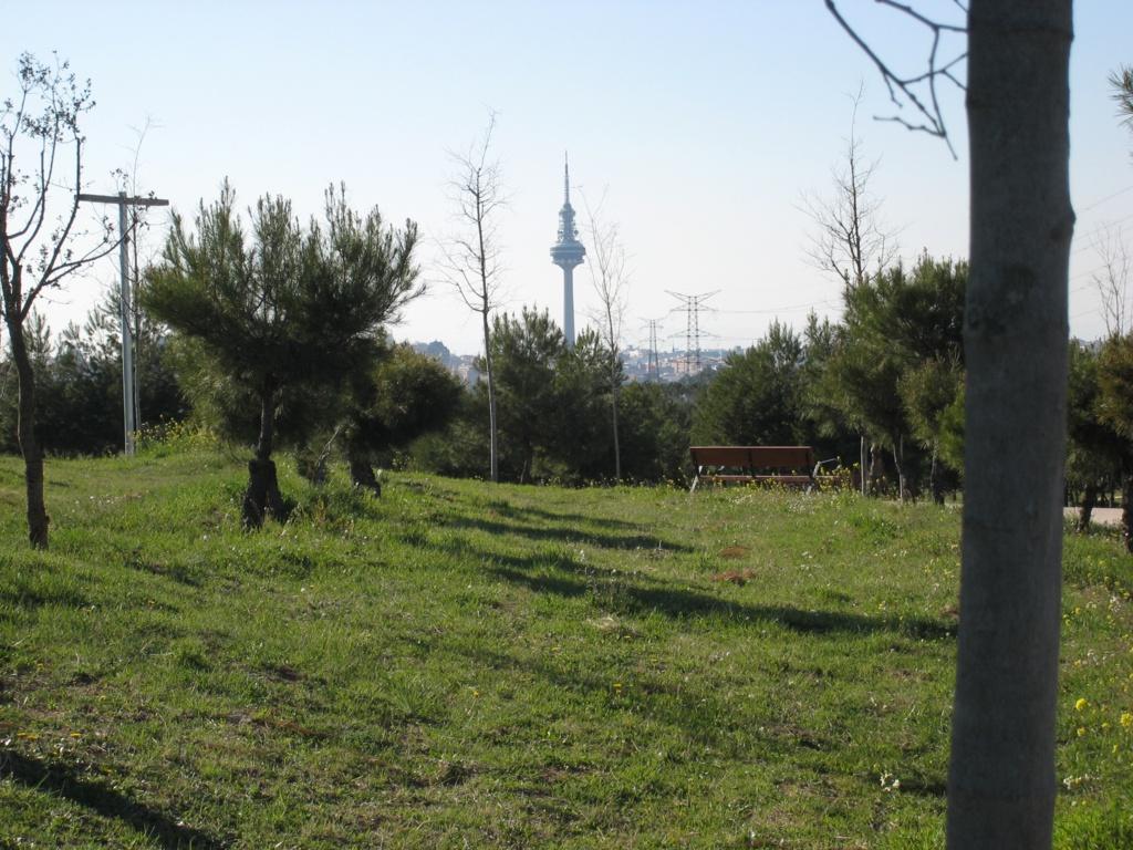 Foto de Madrid (Comunidad de Madrid), España