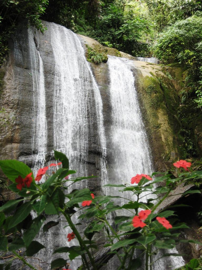 Foto de Chanchamayo, Perú