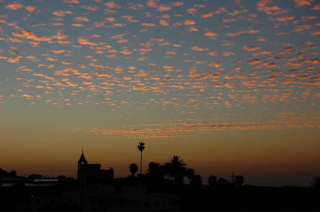 Foto de Tejina (La Laguna) (Santa Cruz de Tenerife), España