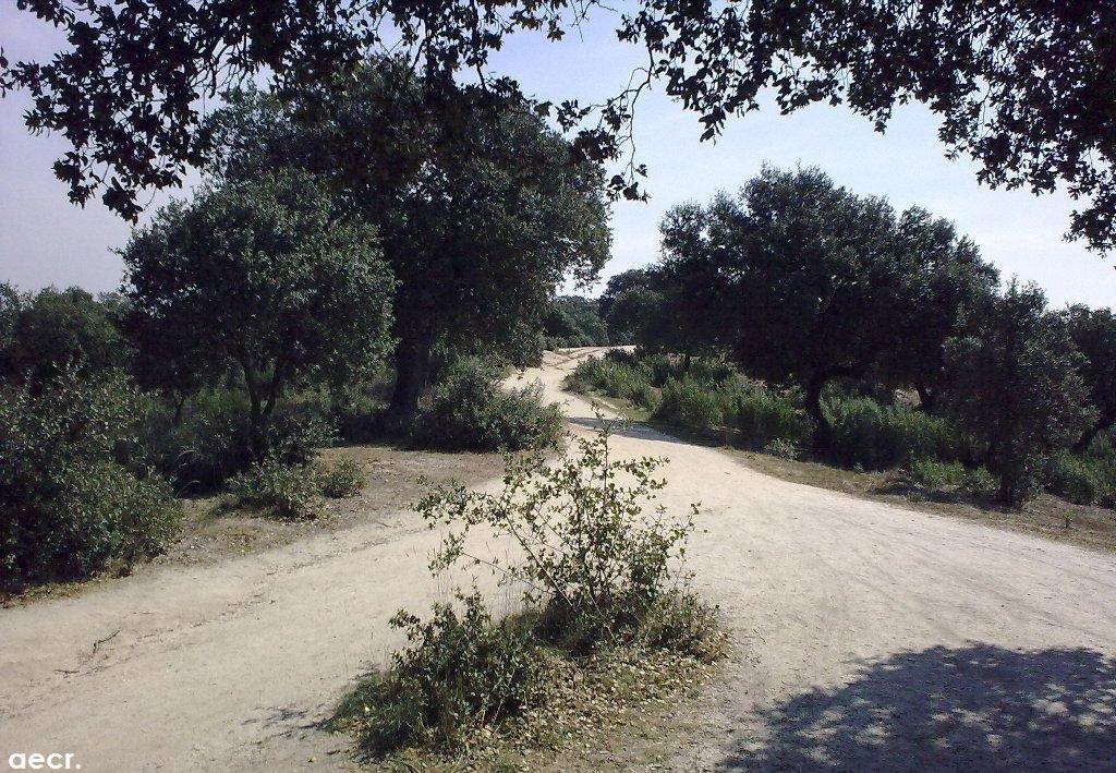 Foto de Boadilla del Monte (Madrid), España