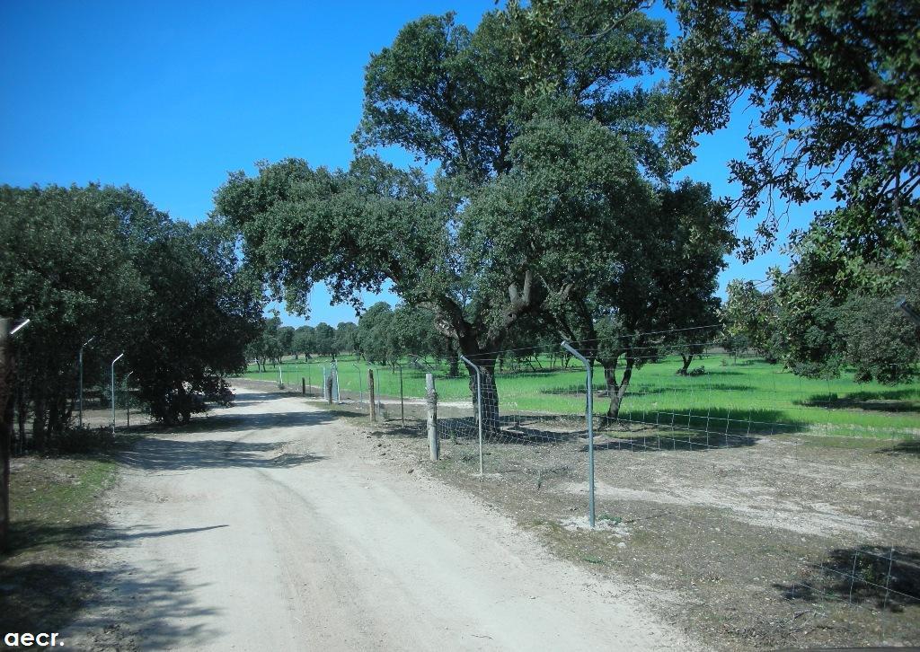 Foto de Villanueva de la Cañada (Madrid), España