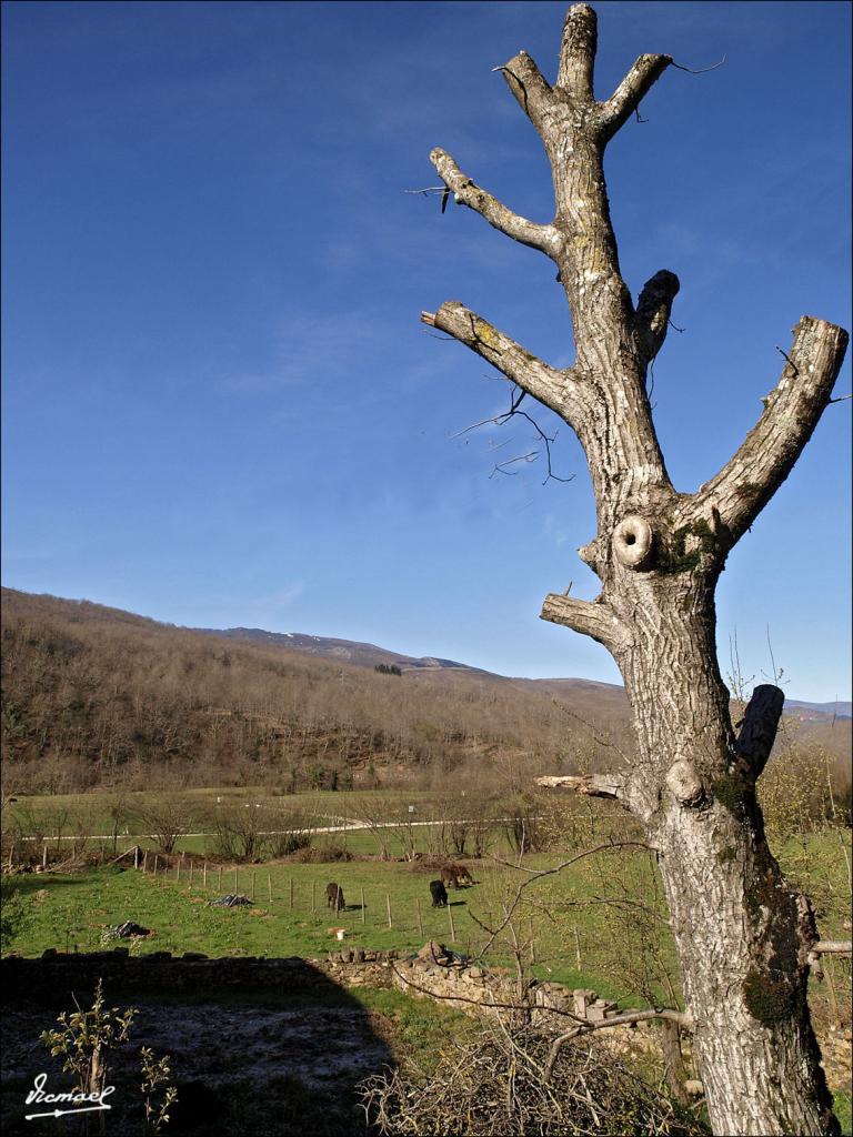 Foto de Barcena Mayor (Cantabria), España