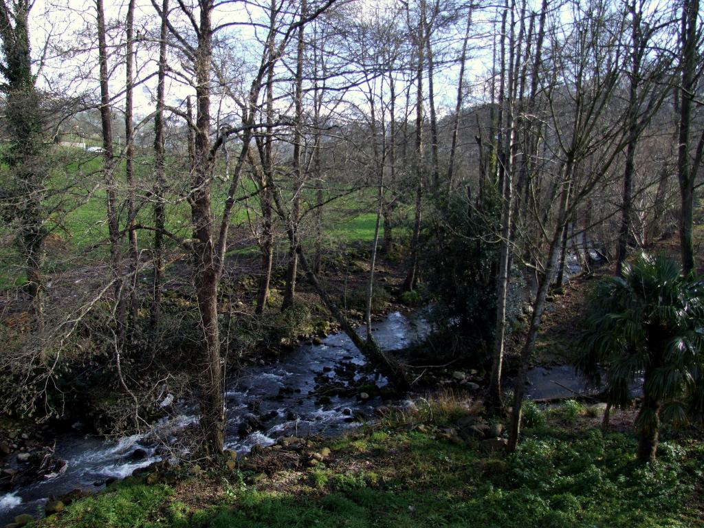 Foto de Llerana (Cantabria), España