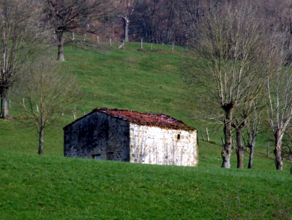 Foto de Llerana (Cantabria), España