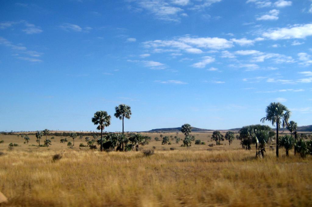 Foto de Ranohira, Madagascar