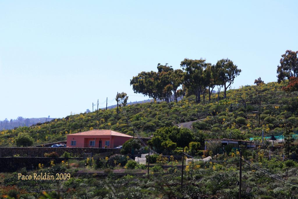 Foto de Granadilla de Abona (Santa Cruz de Tenerife), España