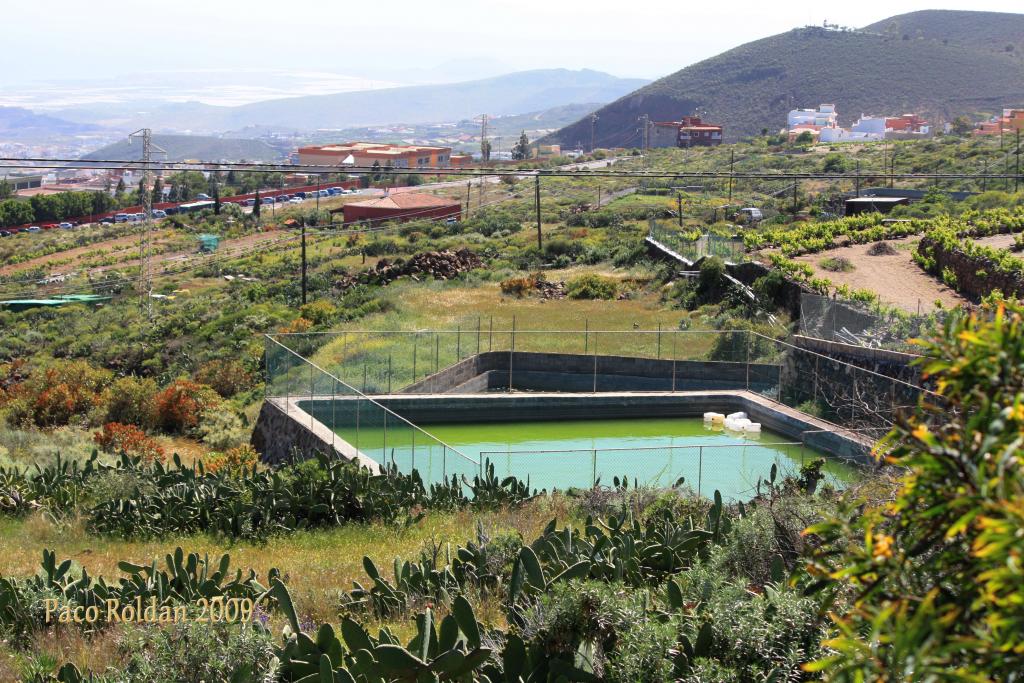 Foto de Granadilla de Abona (Santa Cruz de Tenerife), España