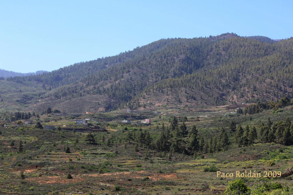 Foto de Granadilla de Abona (Santa Cruz de Tenerife), España