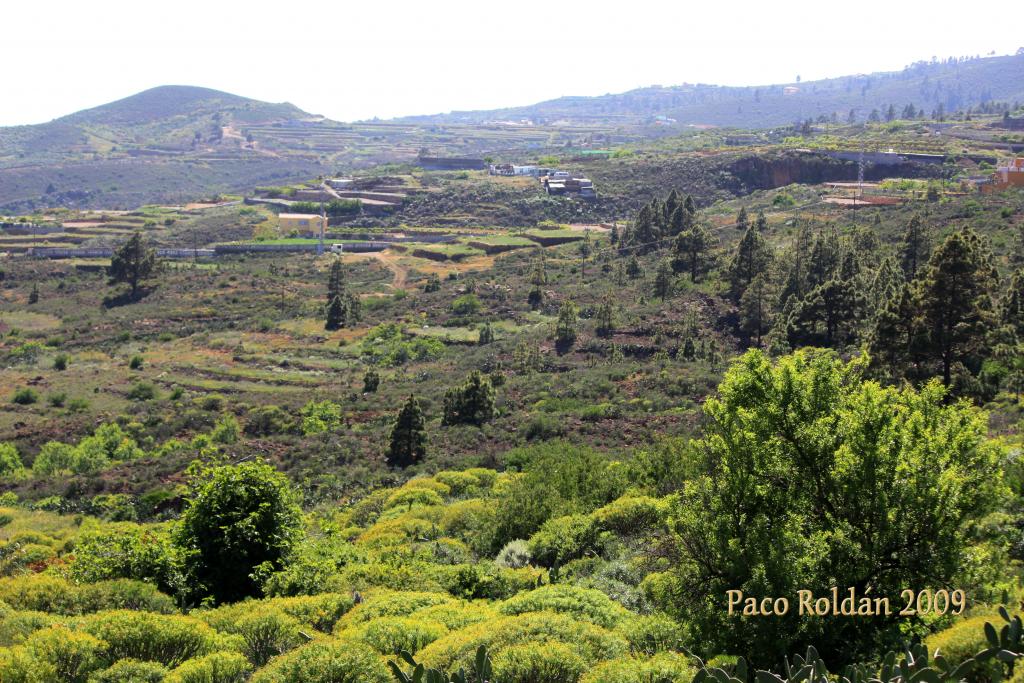 Foto de Granadilla de Abona (Santa Cruz de Tenerife), España