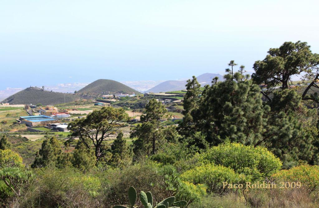 Foto de Granadilla de Abona (Santa Cruz de Tenerife), España