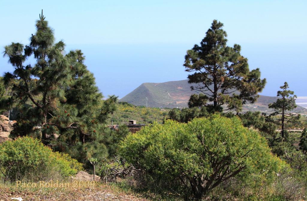 Foto de Granadilla de Abona (Santa Cruz de Tenerife), España