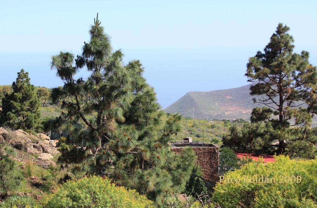 Foto de Granadilla de Abona (Santa Cruz de Tenerife), España