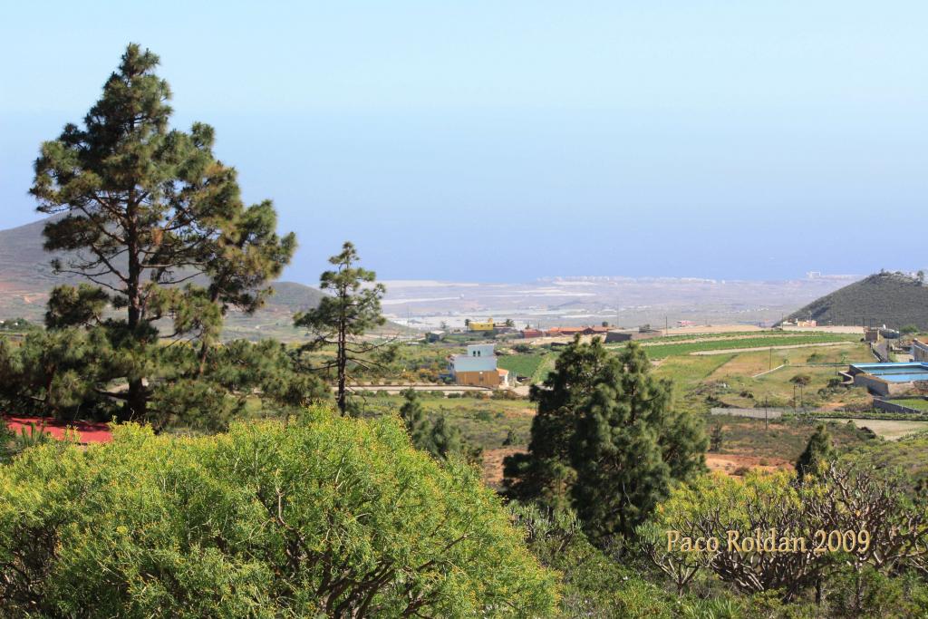 Foto de Granadilla de Abona (Santa Cruz de Tenerife), España